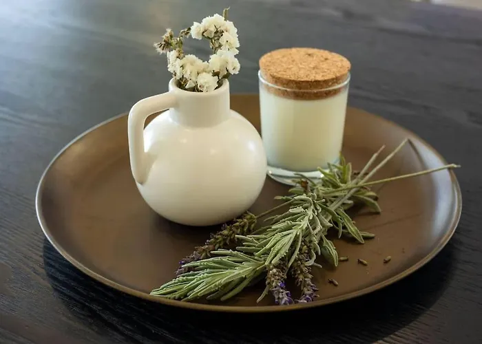 Βίλα Pessegueiros Ericeira